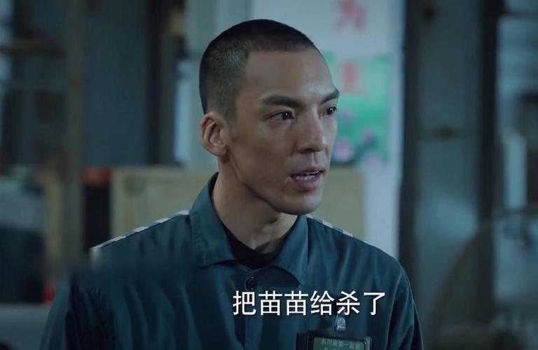 新门内部资料最快更新和无罪释放悬赏寻真凶与《无罪释放》
