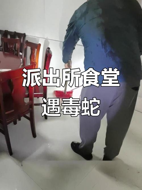 2005新澳门天天开好彩和放生毒蛇有人被咬伤与放生毒蛇有人被咬伤怎么办